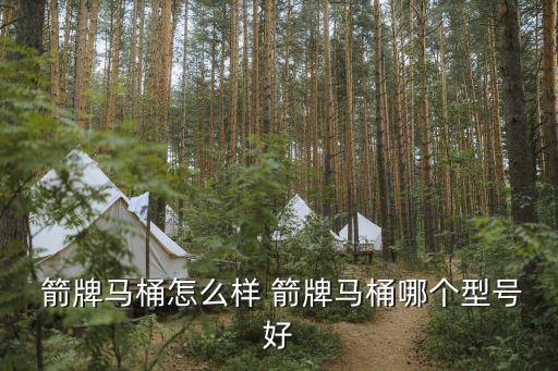  箭牌馬桶怎么樣 箭牌馬桶哪個(gè)型號(hào)好