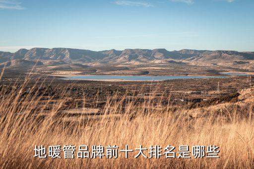 地暖管品牌前十大排名是哪些