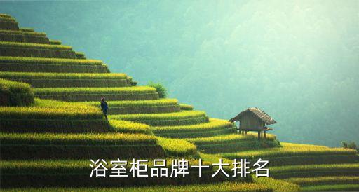 浴室柜品牌十大排名