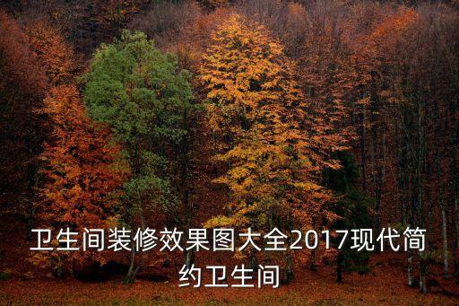 衛(wèi)生間裝修效果圖大全2017現(xiàn)代簡約衛(wèi)生間