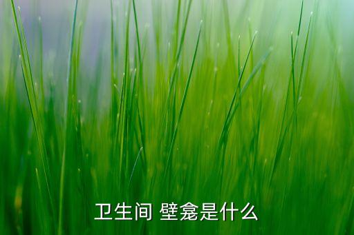 衛(wèi)生間 壁龕是什么