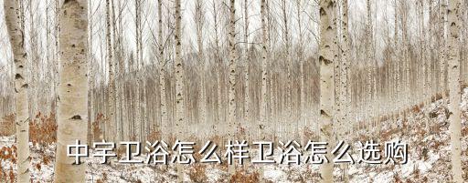 中宇衛(wèi)浴柜圖片2017