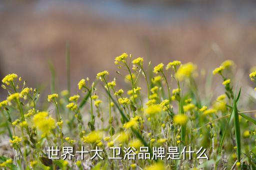 唯一衛(wèi)浴價格圖片欣賞,衛(wèi)浴展示廳圖片欣賞