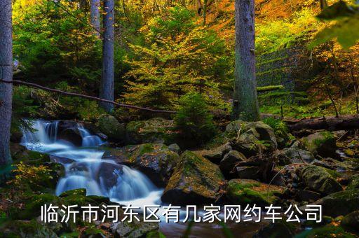  臨沂市河?xùn)|區(qū)有幾家網(wǎng)約車公司