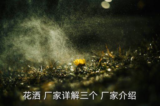 花灑 廠家詳解三個 廠家介紹