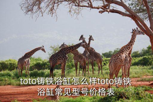 toto鑄鐵浴缸怎么樣toto鑄鐵浴缸常見(jiàn)型號(hào)價(jià)格表