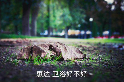 惠達(dá) 衛(wèi)浴好不好
