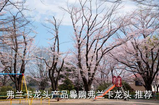 弗蘭卡龍頭產(chǎn)品導(dǎo)購弗蘭卡龍頭 推薦