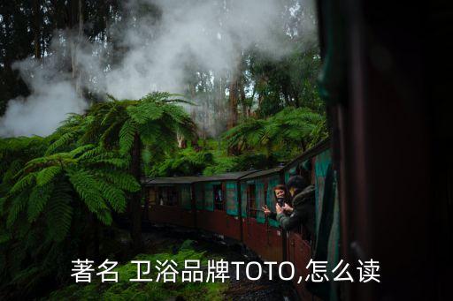 著名 衛(wèi)浴品牌TOTO,怎么讀