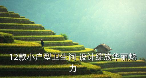 12款小戶型衛(wèi)生間 設(shè)計綻放華麗魅力