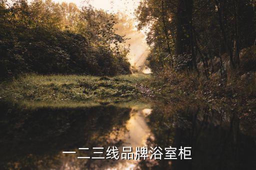 親淘衛(wèi)浴是幾線品牌的產(chǎn)品