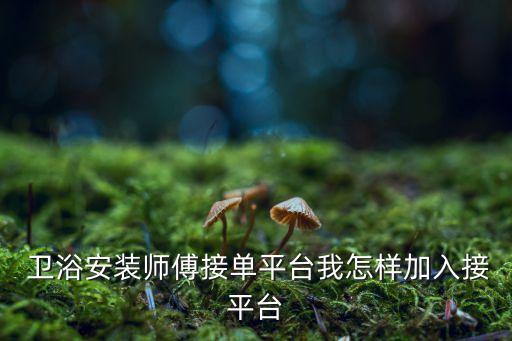  衛(wèi)浴安裝師傅接單平臺(tái)我怎樣加入接平臺(tái)