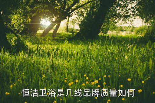  恒潔衛(wèi)浴是幾線品牌質(zhì)量如何