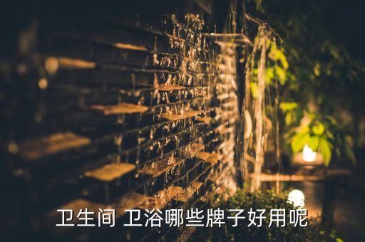 衛(wèi)生間 衛(wèi)浴哪些牌子好用呢