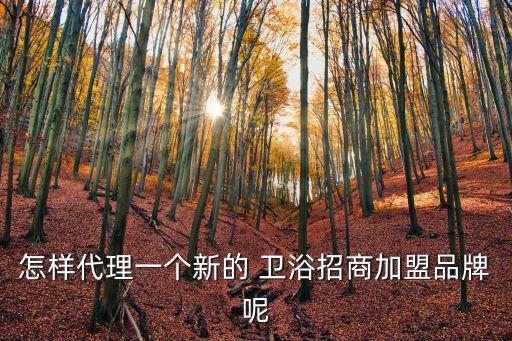 怎樣代理一個(gè)新的 衛(wèi)浴招商加盟品牌呢