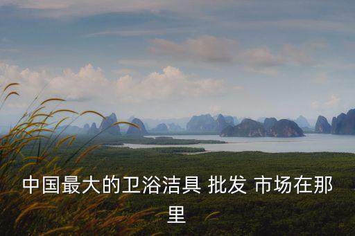 中國(guó)最大的衛(wèi)浴潔具 批發(fā) 市場(chǎng)在那里