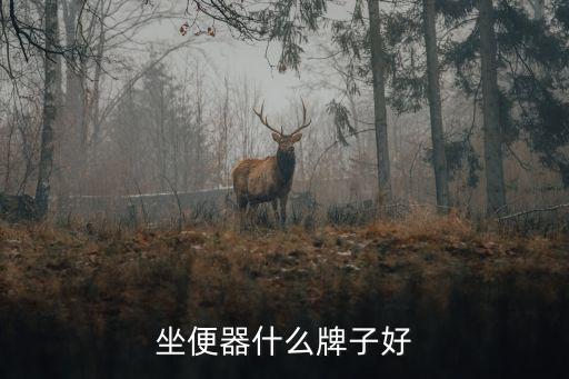坐便器什么牌子好