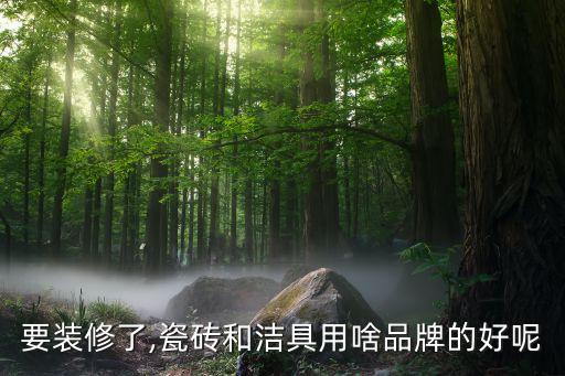 廣西衛(wèi)浴品牌,衛(wèi)浴品牌排行榜前十名