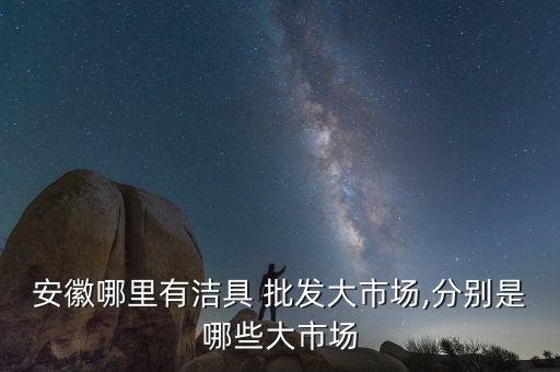 安徽哪里有潔具 批發(fā)大市場,分別是哪些大市場