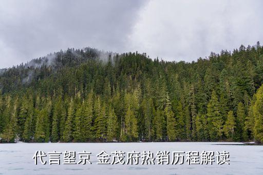代言望京 金茂府熱銷歷程解讀