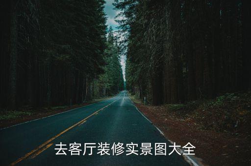 去客廳裝修實(shí)景圖大全