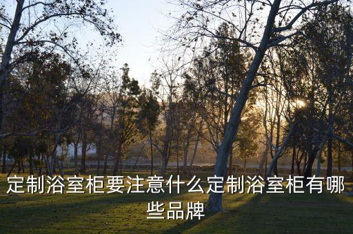 定制浴室柜要注意什么定制浴室柜有哪些品牌