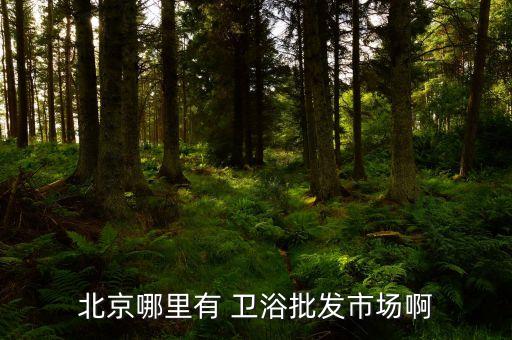 北京哪里有 衛(wèi)浴批發(fā)市場(chǎng)啊