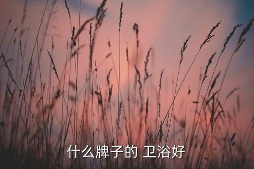 什么牌子的 衛(wèi)浴好