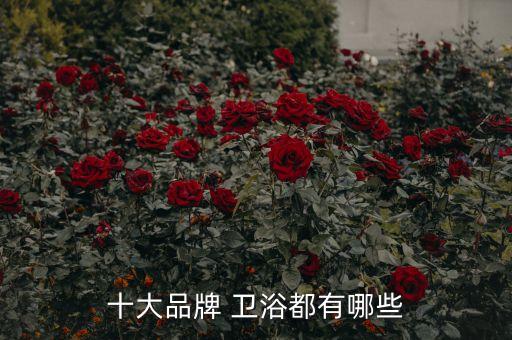 山西省金牌衛(wèi)浴廠地址,重慶金牌衛(wèi)浴地址