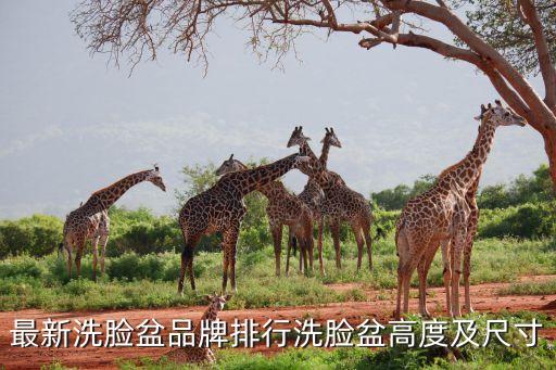 最新洗臉盆品牌排行洗臉盆高度及尺寸