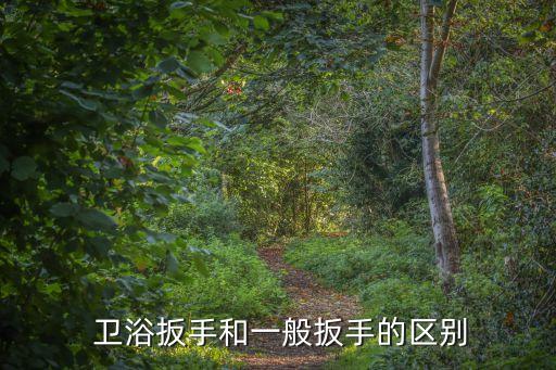  衛(wèi)浴扳手和一般扳手的區(qū)別
