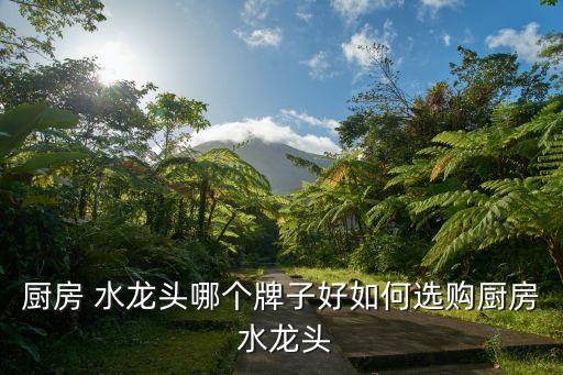 廚房 水龍頭哪個牌子好如何選購廚房 水龍頭