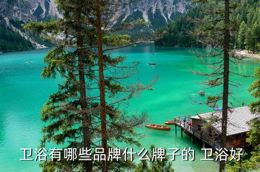  衛(wèi)浴有哪些品牌什么牌子的 衛(wèi)浴好