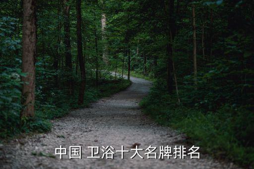 中國 衛(wèi)浴十大名牌排名