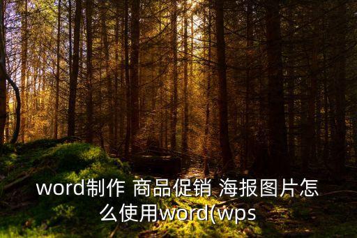word制作 商品促銷 海報圖片怎么使用word(wps