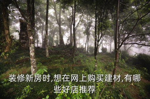裝修新房時(shí),想在網(wǎng)上購(gòu)買建材,有哪些好店推薦