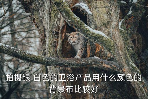 白色瓷妝衛(wèi)浴圖片欣賞視頻
