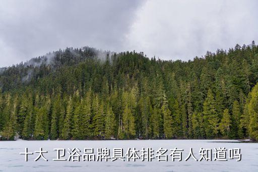  十大 衛(wèi)浴品牌具體排名有人知道嗎