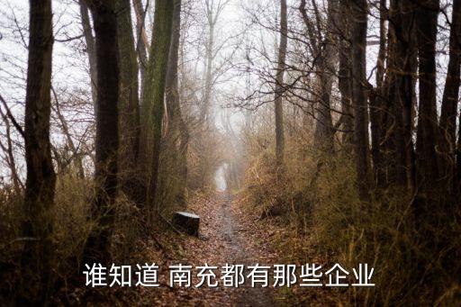 南充嘉陵衛(wèi)浴有限公司地址