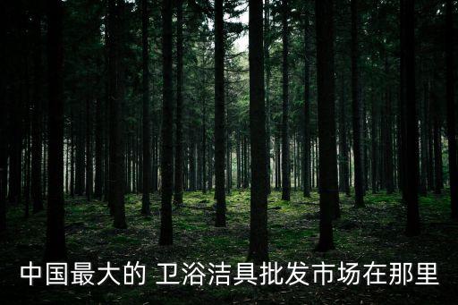 中國(guó)最大的 衛(wèi)浴潔具批發(fā)市場(chǎng)在那里