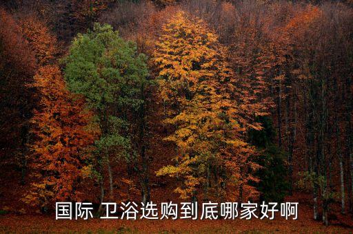 國際 衛(wèi)浴選購到底哪家好啊