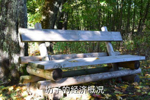 坊子的經(jīng)濟概況