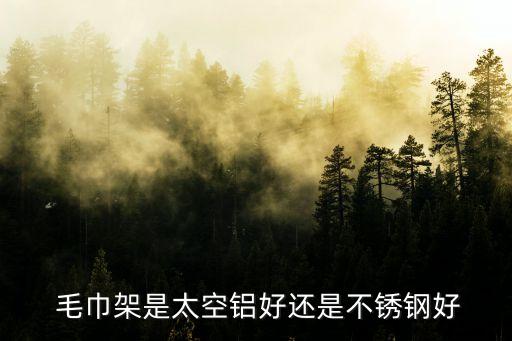 法式衛(wèi)浴毛巾架效果圖片,衛(wèi)浴毛巾架圖片及價(jià)格