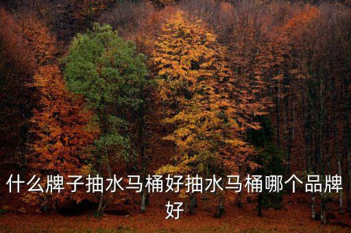 什么牌子抽水馬桶好抽水馬桶哪個品牌好