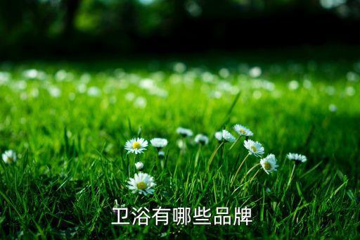 德國衛(wèi)浴品牌合肥專賣店,合肥toto衛(wèi)浴專賣店地址