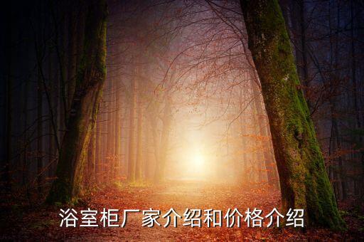 安全生產(chǎn)衛(wèi)浴柜圖片價(jià)格