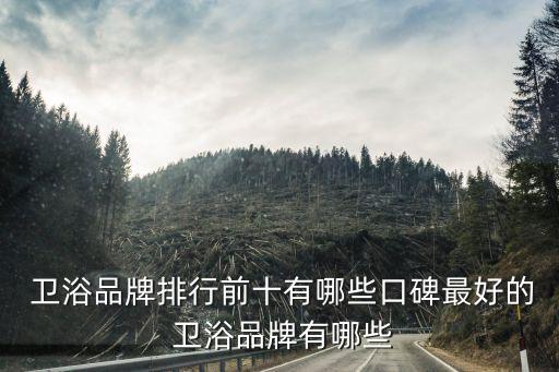 衛(wèi)浴十大品牌零售價(jià),中國(guó)十大衛(wèi)浴品牌最新排名
