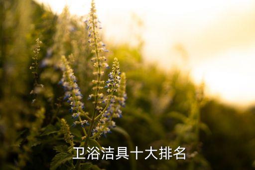 澄江衛(wèi)浴品牌店有哪些牌子