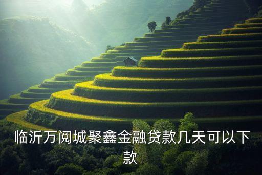  臨沂萬閱城聚鑫金融貸款幾天可以下款