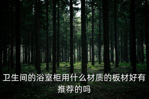 極簡不銹鋼衛(wèi)浴柜圖片,極簡衛(wèi)浴門圖片